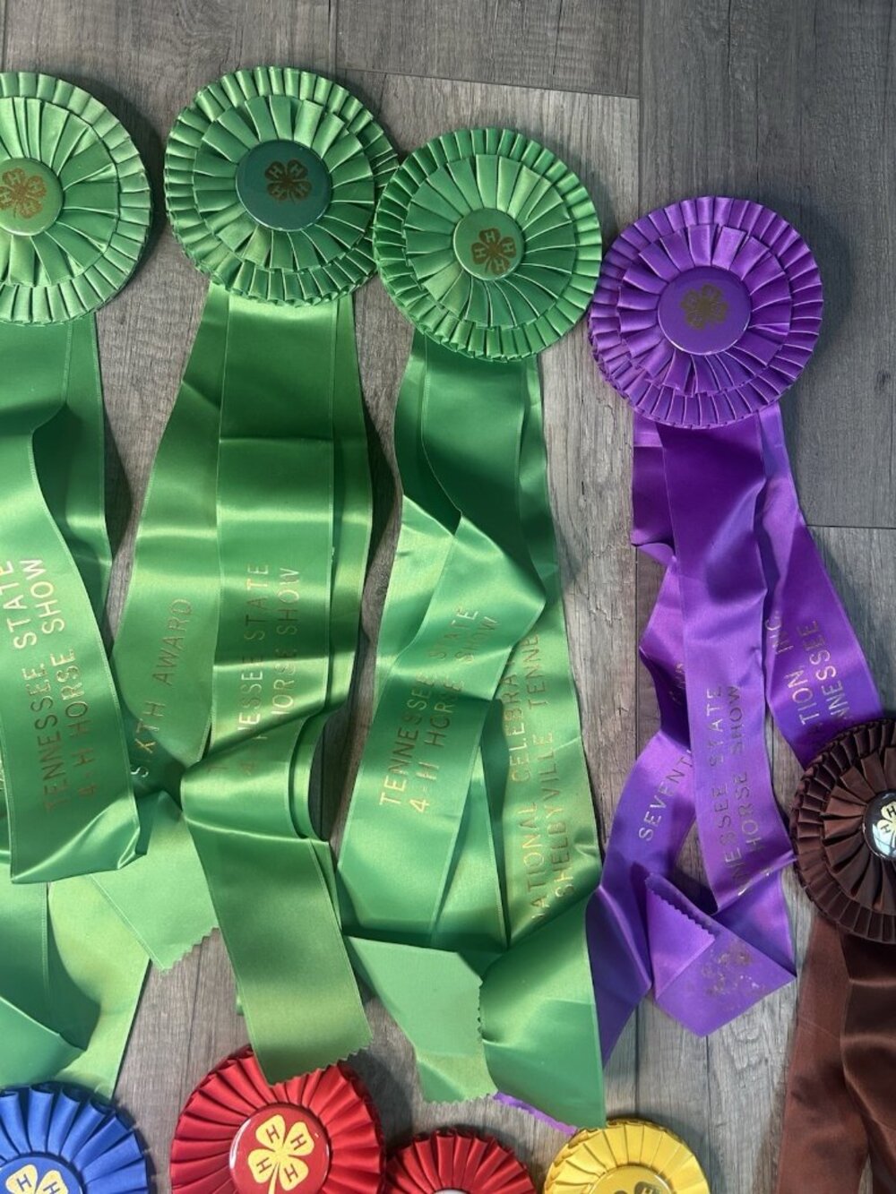 Show Ribbons 4-H Club Rosettes Craft Equestrian Tennessee Shelbyville Lot Of 19 - Picture 12 of 16
